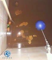 Nguồn nước sạch sinh hoạt ( nước cấp của thành phố...